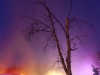 Chena Hot Spring resort