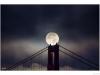 _RV10259-Edit