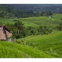 Volcanoes of Indonesia: Part 4 – Bali