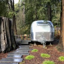 Glamping in the russian river in an Airstream